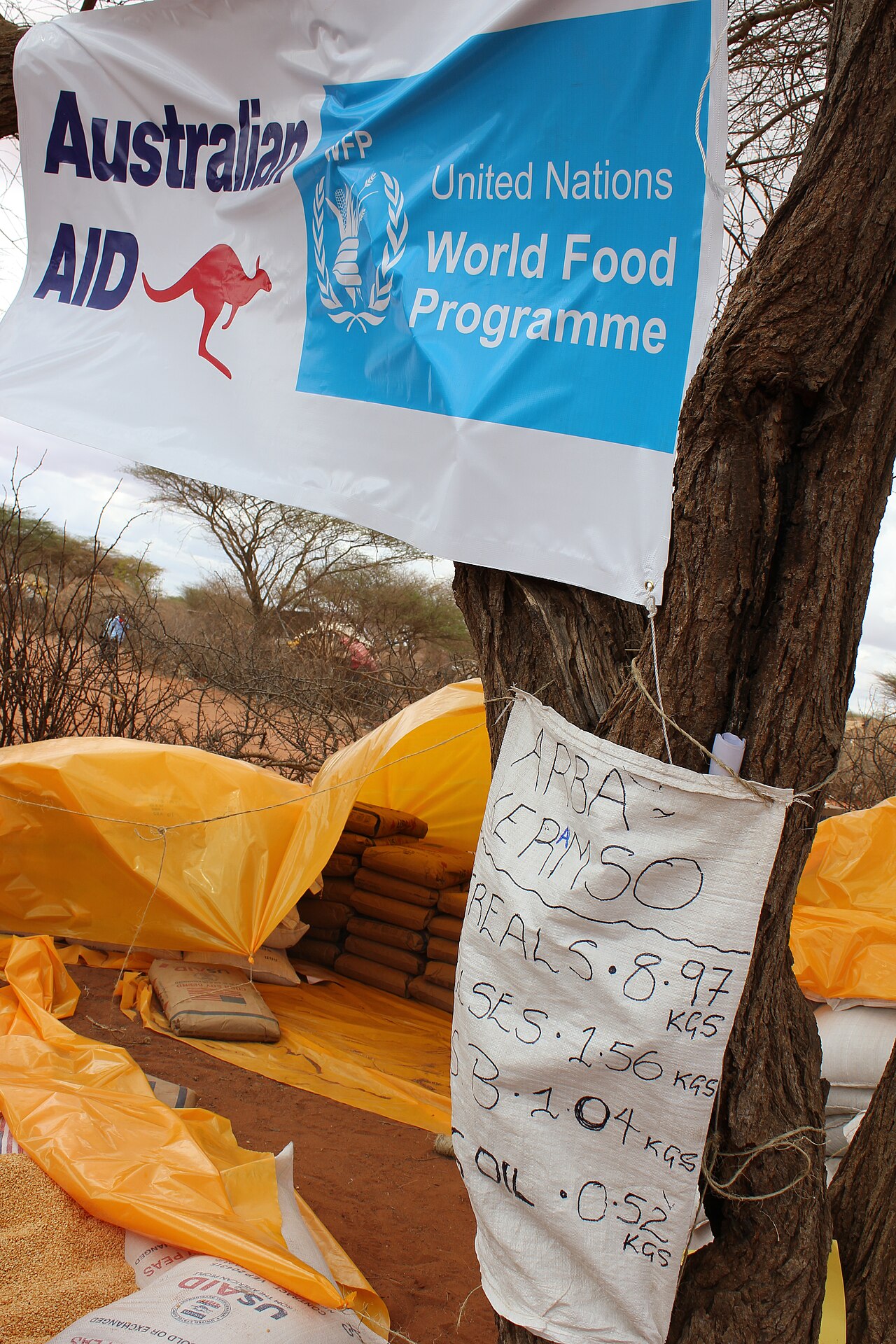 Humanitarian Aid Logistics Warehouse and Relief Supply Dispatch